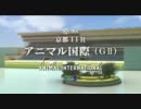 JAPAN WORLD CUP 3 京都11R アニマル国際 (GⅡ) 出走馬?紹介