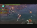【MHP3rd】モンスターハンターポータブル3rd#秘湯巡り13泊目