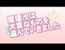 友人に言われて「魔理沙は大変なものを盗んでいきました」歌ってみた