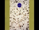 Derek And The Ruins - Yaginbo (1994)
