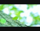 【NNI】 Memory of Leaf 【春ニカ祭2011】