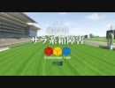 JAPAN WORLD CUP3 WIN5 東京9R サラ系箱障害 その３