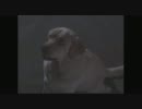 ＡＮＣＩＥＮＴ ＥＮＥＭＹ　その４