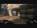【PC】デュアルHS10でFFA【COD:BO】