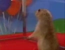 この動画を５回再生すると・・・