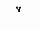 【VIPRPG】 (ヾﾉ･∀･`)ﾅｲﾅｲ