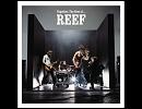 Reef - Won't You Listen