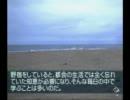 【実況】北、行っちゃう？ 風雨来記 part16