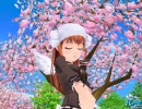パンヤ