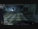 PS3 CoD:Bo(ア○ム) TDM25