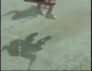 【さく】こだまでしょうか【アフレコしてみた】