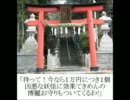 馬鹿の幻想入り　その１