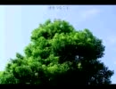 PhyO