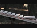 【ドコモ】森の木琴【CM】