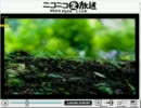 鏡音レン ライブパーティー 2011 - LIVE IN NicoNicoLive - 【part4】
