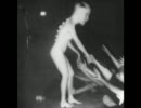 Butthole Surfers - Something (Live)