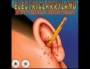 Butthole Surfers　Birds