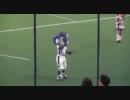 2011/04/15　試合中のドアラ
