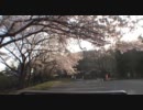 〔車載映像〕第18弾　春の詰め合わせセット