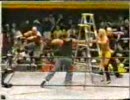プロレス　ECW 3WAY TLCマッチ