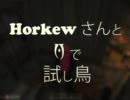 Horkewさんと『Ｏ』で試し鳥