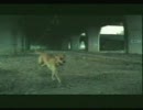 何のCMでしょうか？