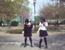 【踊ってみた】メランコリック_*_C.S.Portリアレンジ_*【Rima＆りゅうき】