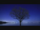 【微速度動画】星の輝き：津軽富士見湖