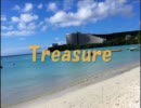 Treasure - CHESTNUT