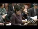 2011年03月29日 【参議院】予算委員会07 平成23年度予算３案について討論