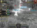 ドラゴンネスト　シードラゴンネスト6Rパラ視点主は＠1ゲージで死亡3