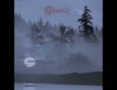 Thurisaz - Anno Viroviacum