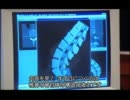 寿命100歳を実現する科学 「細胞で知る老化のメカニズム」 2/2