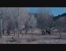 介在　4／6