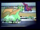 仁義なき厨ドラゴン縛り