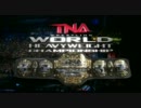 TNA 4/17/11 Lockdown in オハイオ　Part12