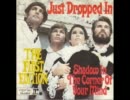 The First Edition - (Just Dropped In)