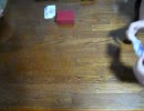 東方二次創作TCG　VISION対戦動画　　～福岡プレイヤーの対戦記録01～