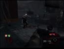 【ゾンビモード】COD BO【KINO DER TOTEN】　その1の2