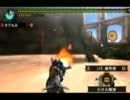 【MHP3rd】恐暴の宴　非火事場&非拘束　通常縛りヘビガンソロ　10針