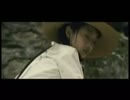 『サンザシの樹の下で 』予告編
