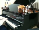 「智代アフター」より「hope」をピアノで弾いてみた
