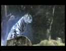 【実況プレイ】　the LAST STORY　part2【セイギ。】