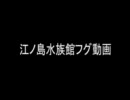 新江ノ島水族館のフグ動画