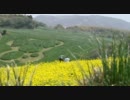 あわじ花さじき - 春の花園風景