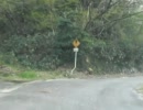 R359小池牧大橋旧道(1倍速)