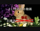 【弾薬箱？】お嬢様とりむぺったん140【Ｄ５１Ａ:SA戦】