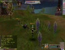 FEZ　ファンタジーアースゼロ　D鯖　ニコナ　ゲブVSホル　両手ヲリ　2/2