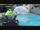 アクアボール