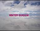 WINTER SHADOW